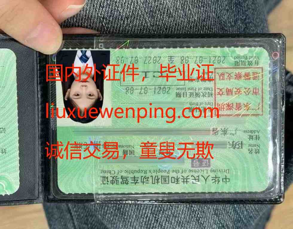 办假行驶证 vehicle license