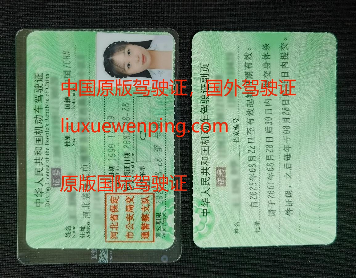 办假驾驶证