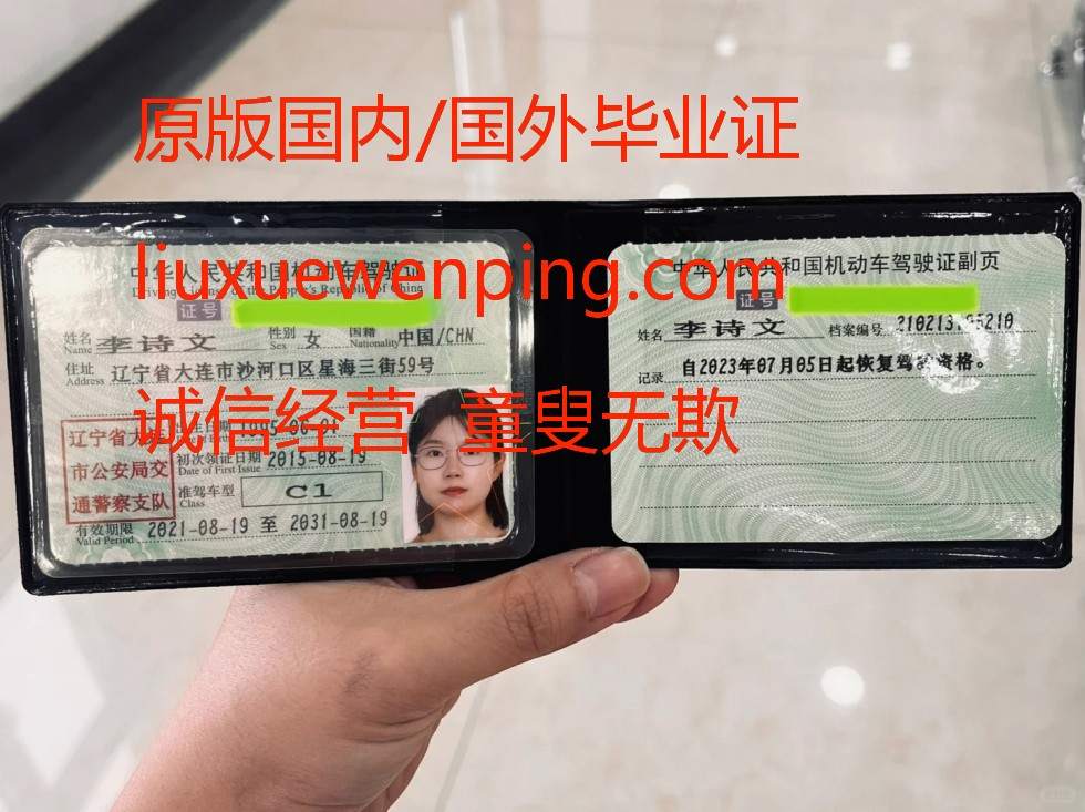 天津行驶证 天津驾驶执照 Tianjin driving license