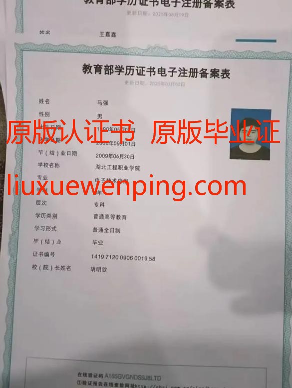 办高仿留学毕业证 Study Abroad Graduation Certificate