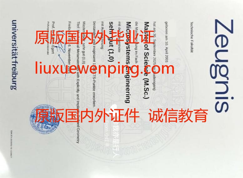 办offer录取通知书 Apply for an offer and acceptance letter