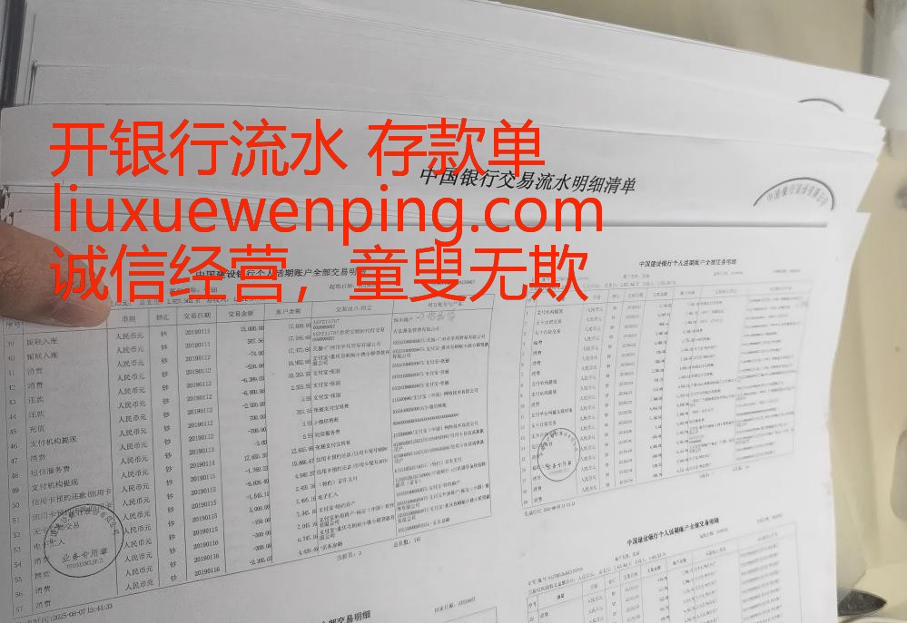 办广州工资流水