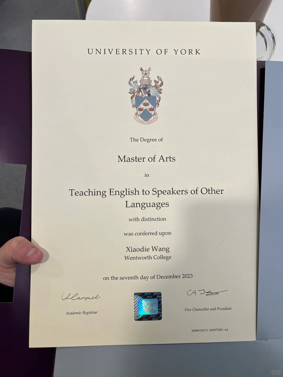 办荷兰大学毕业证