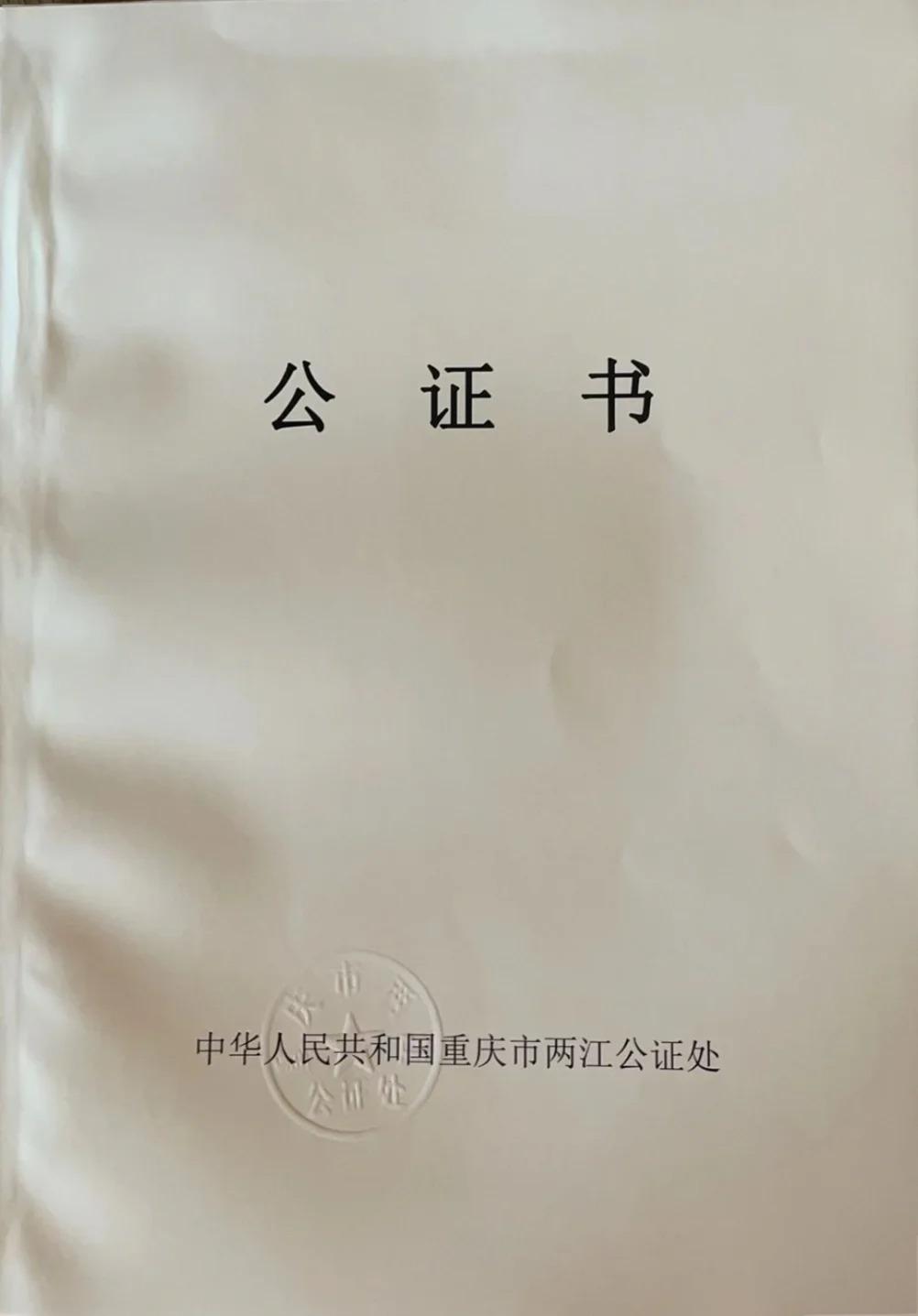 办理假公证书