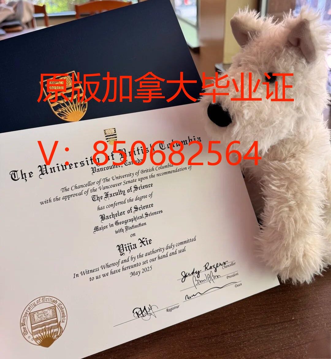 办加拿大毕业证