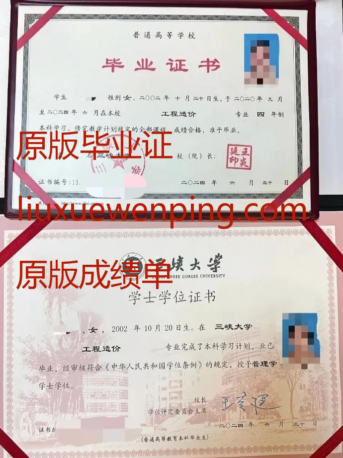办芬兰毕业证