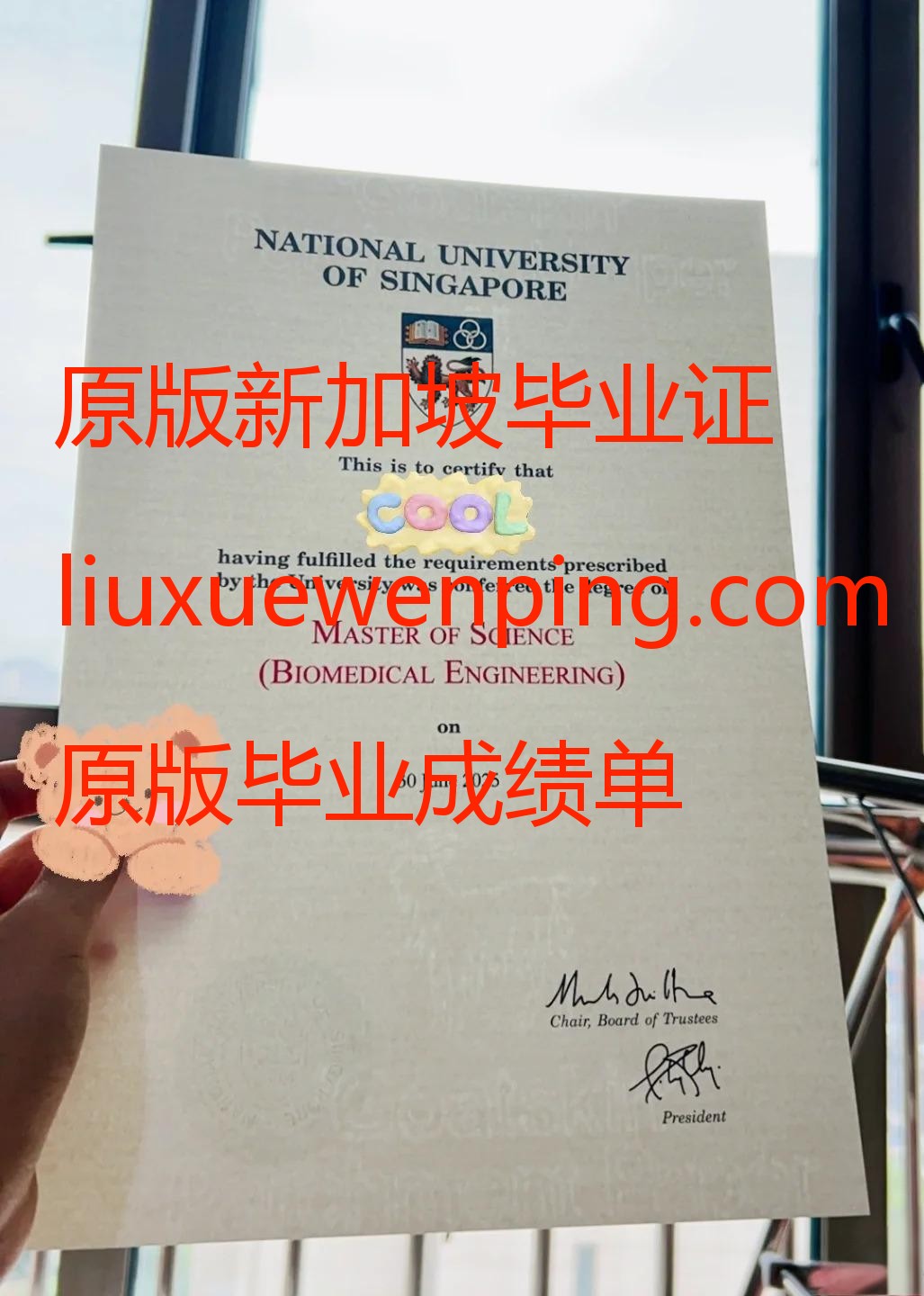 办理新加坡毕业证