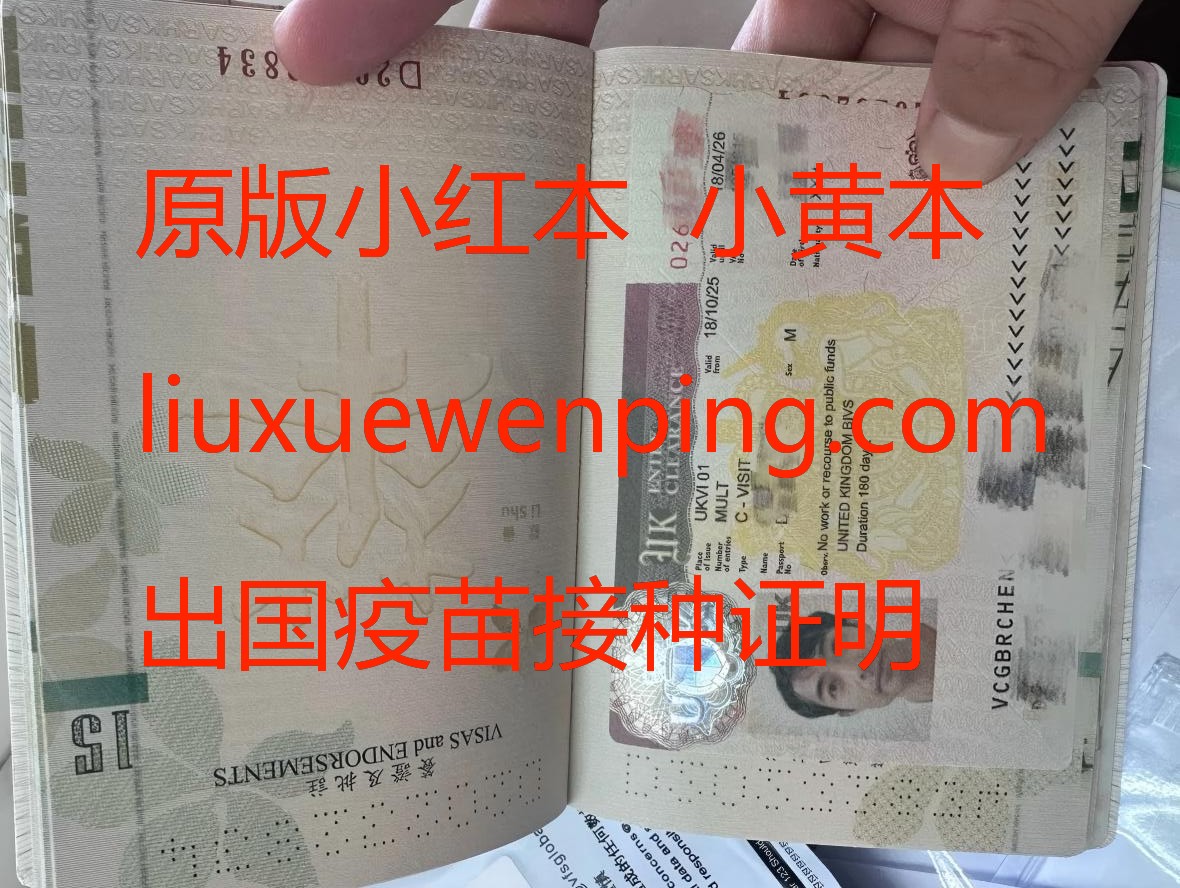 办理小红本