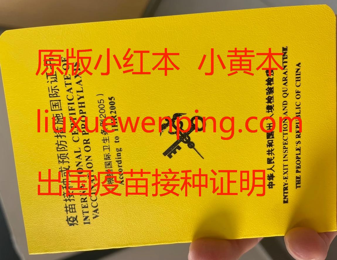 办理小黄本