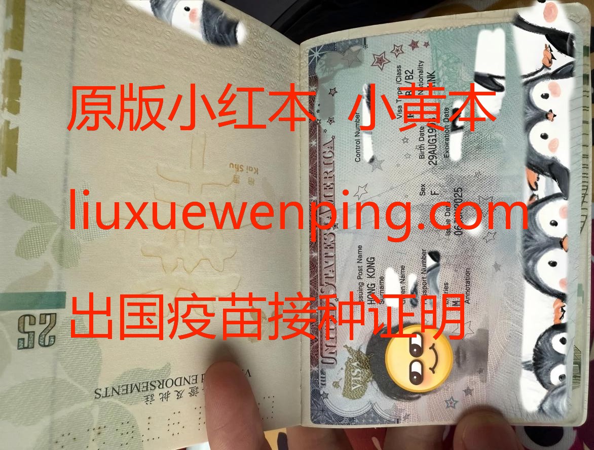 办理小黄本