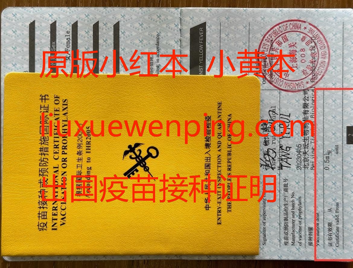 办理小黄本