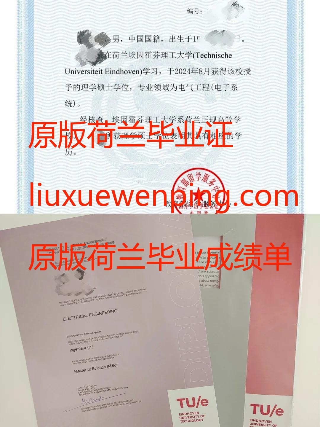 办荷兰毕业证