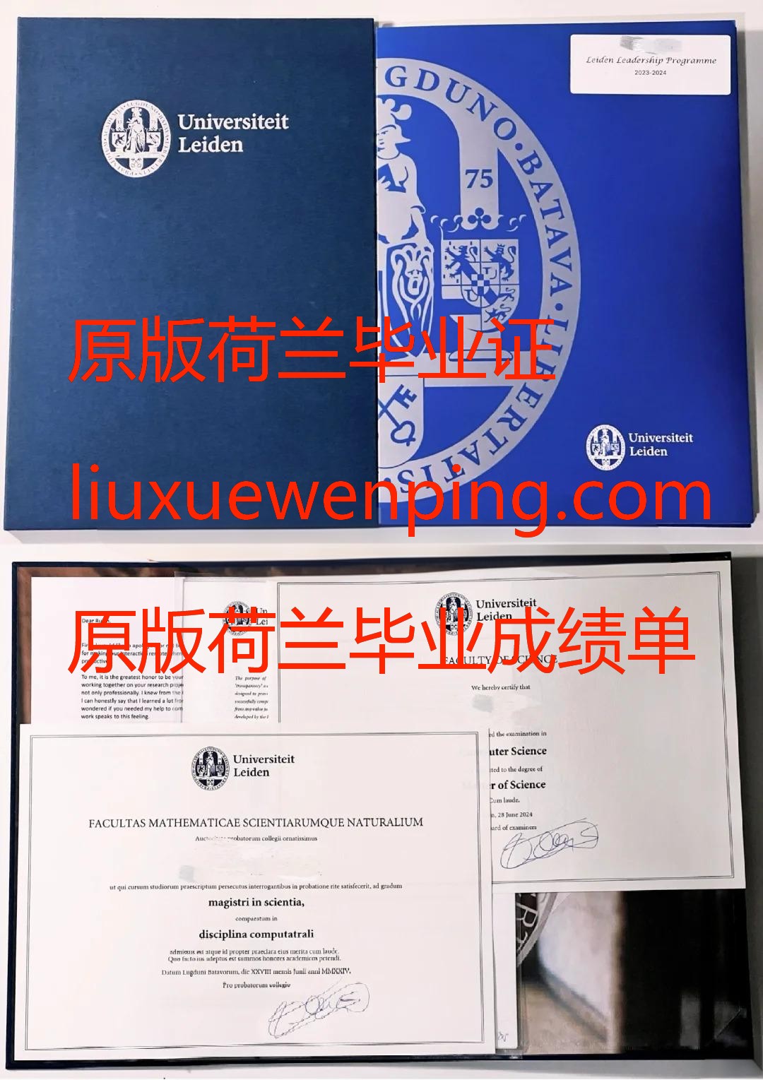 办荷兰毕业证