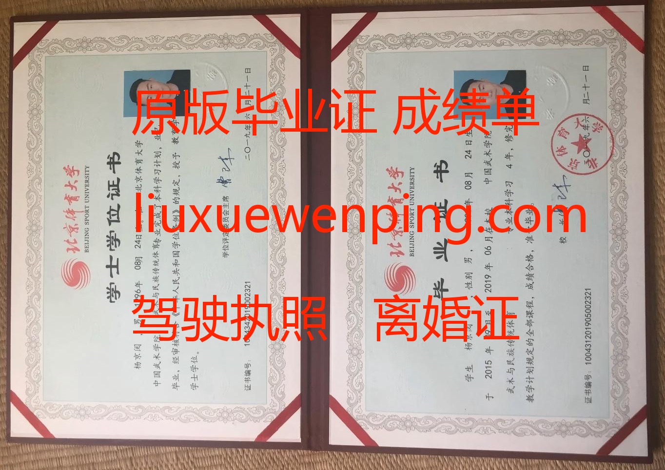 办青岛毕业证