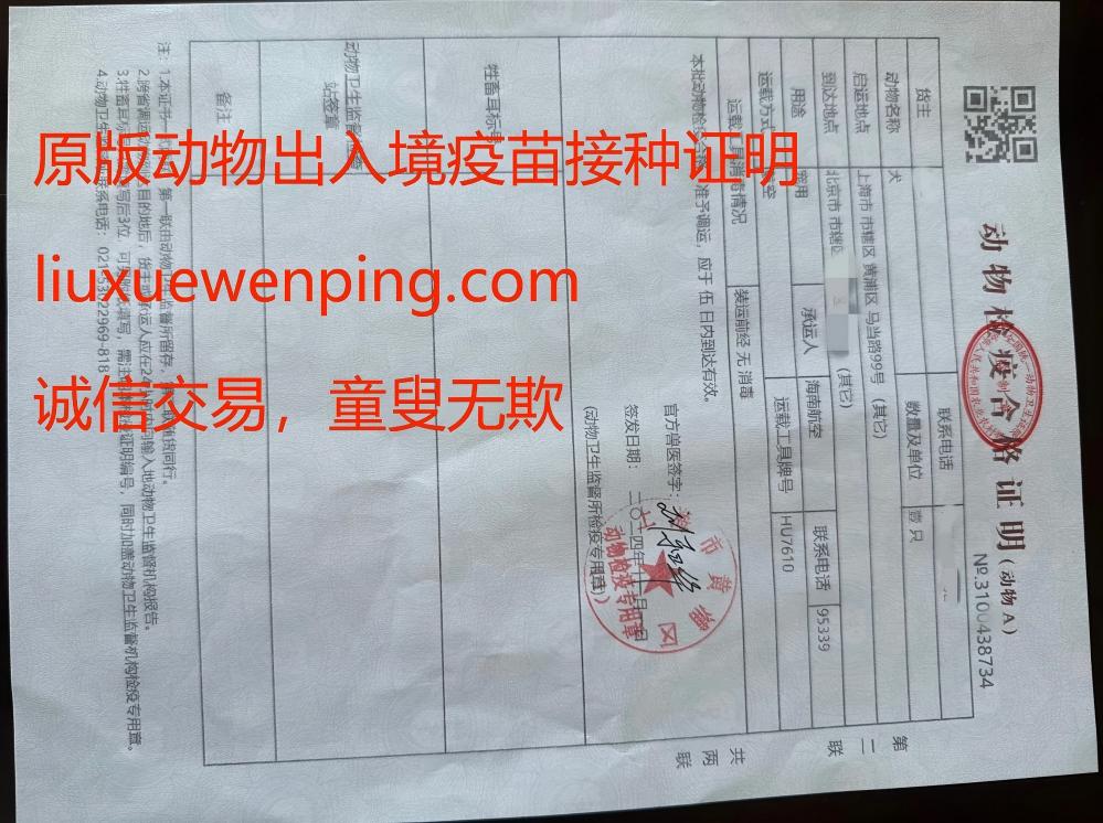 办动物出入境疫苗接种证明