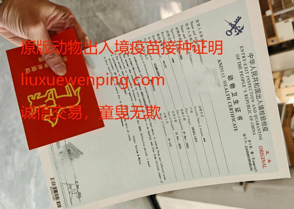 办动物出入境疫苗接种证明
