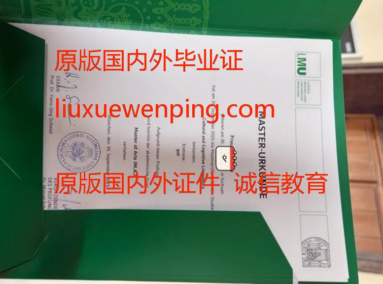 办圣路易斯华盛顿大学毕业证