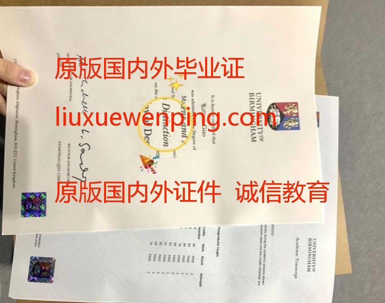 办布兰迪斯大学毕业证 办布兰迪斯大学毕文凭 办布兰迪斯大学学位证书 Obtain a Brandeis University diploma